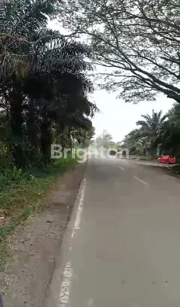 image TANAH SATU HAMPARAN 30 HEKTAR PINGGIR JALAN LINTAS RENGAT TEMBILAHAN (2)