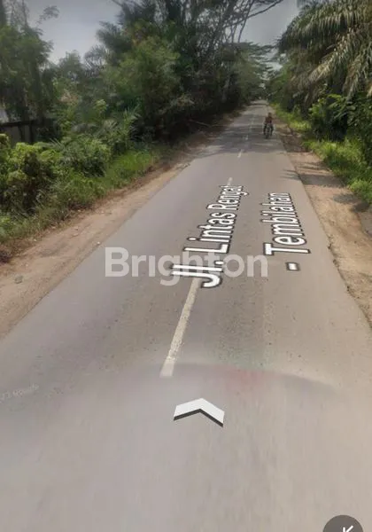 image TANAH SATU HAMPARAN 30 HEKTAR PINGGIR JALAN LINTAS RENGAT TEMBILAHAN (4)