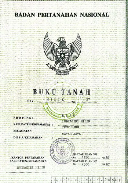 image TANAH SATU HAMPARAN 30 HEKTAR PINGGIR JALAN LINTAS RENGAT TEMBILAHAN (6)