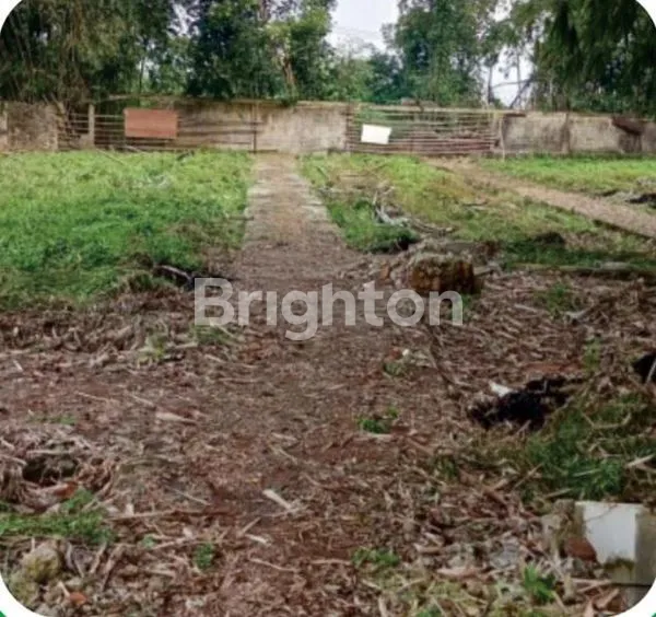 image TANAH LOKASI PINGGIR JALAN PINTASBSD-CISAUK-CICANGKAL-PARUNG PANJANG-BSD (2)