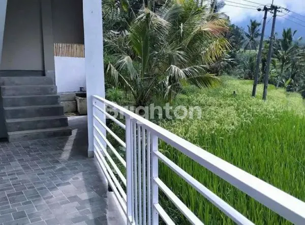 image TANAH JATILUWIH NEGO (4)