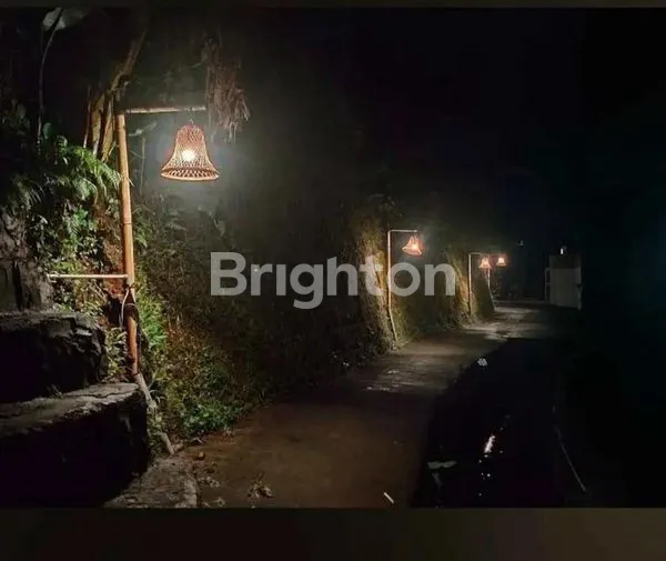 image TANAH JATILUWIH NEGO (6)