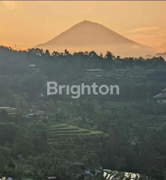 image TANAH JATILUWIH NEGO (2)