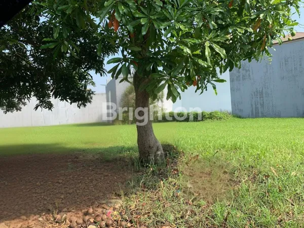 image KAVLING ALAM SUTERA BERBENTUK NGANTONG (1)