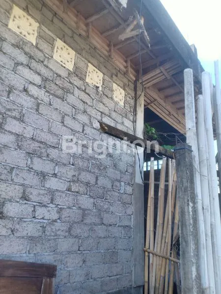 image TANAH ISTIMEWA DI GUNUNG SALAK (4)