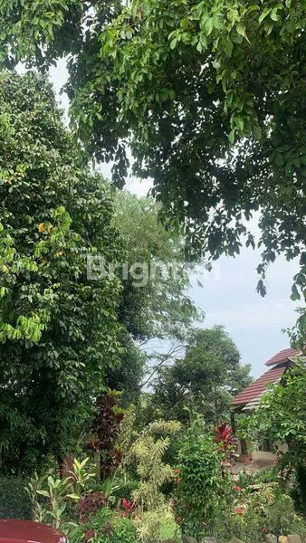 image JUAL TANAH BONUS RUMAH (3)