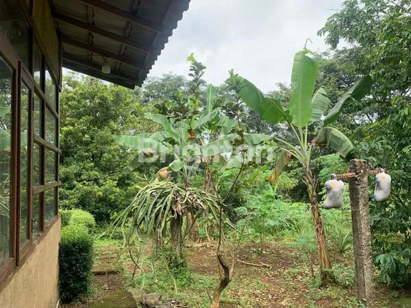 image JUAL TANAH BONUS RUMAH (5)