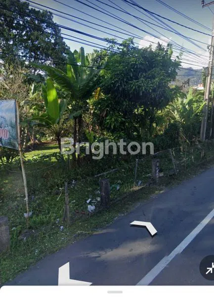 image TANAH LAHAN JL RAYA PUNCAK CISARUA BOGOR (3)