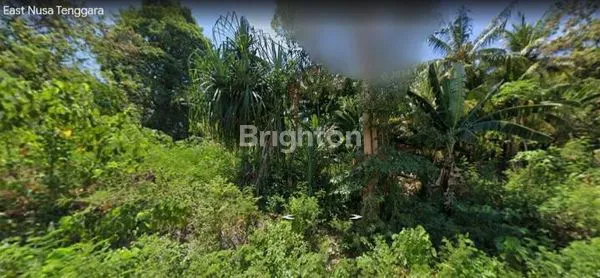 TANAH DI LABUAN BAJO