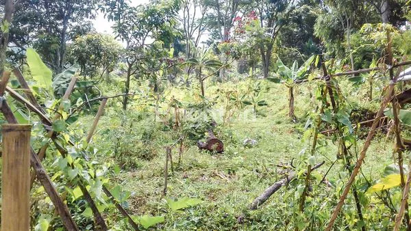 image TANAH 17 ARE DI DESA CIBURIAL, BANDUNG DEKAT DAGO (2)