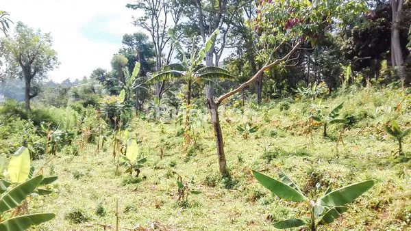 image TANAH 17 ARE DI DESA CIBURIAL, BANDUNG DEKAT DAGO (3)