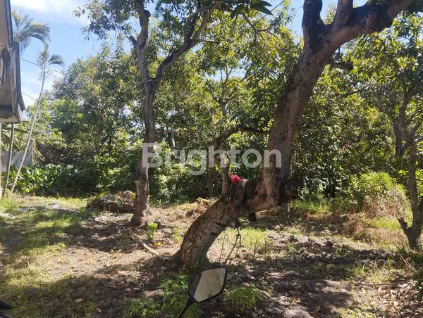 image TANAH STRATEGIS DI JL. SUKODONO, KEBOAN  ANOM, GEDANGAN, SIDOARJO (5)