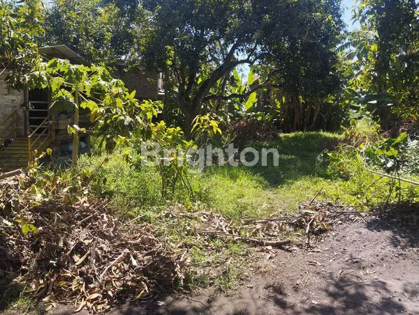 image TANAH STRATEGIS DI JL. SUKODONO, KEBOAN  ANOM, GEDANGAN, SIDOARJO (6)