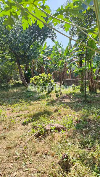 BELI TANAH BONUS RUMAH - COCOK UNTUK USAHA