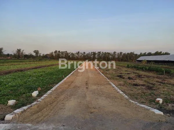 image TANAH RENCANA UNTUK BAYPASS (1)