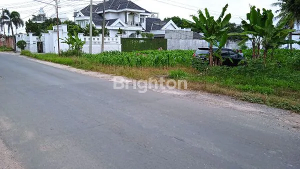 TANAH PERKEBUNAN DAN SAWAH BANDAR JAYA LAMPUNG