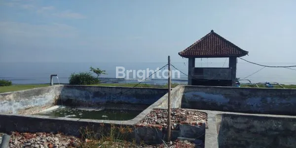 image TANAH DAN TAMBAK PINGGIR PANTAI DI GEROGAK SANGGALANGIT KABUPATEN BULELENG BALI (8)