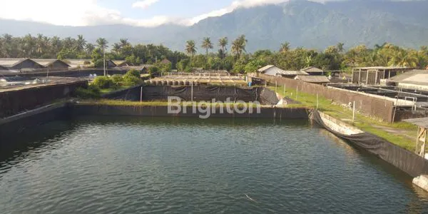 image TANAH DAN TAMBAK PINGGIR PANTAI DI GEROGAK SANGGALANGIT KABUPATEN BULELENG BALI (7)
