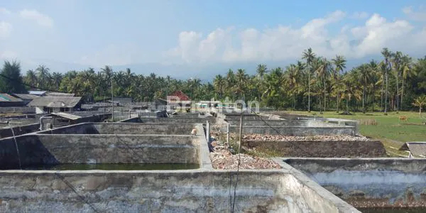 image TANAH DAN TAMBAK PINGGIR PANTAI DI GEROGAK SANGGALANGIT KABUPATEN BULELENG BALI (4)