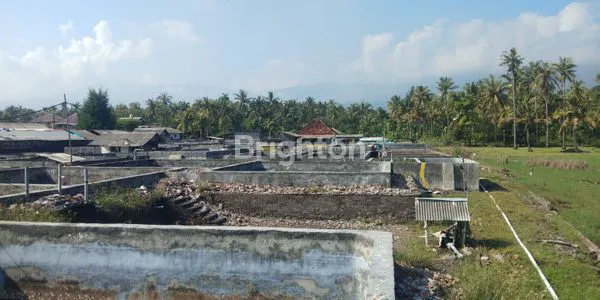 image TANAH DAN TAMBAK PINGGIR PANTAI DI GEROGAK SANGGALANGIT KABUPATEN BULELENG BALI (5)