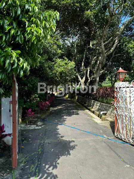 image VILLA & KEBUN BUAH YANG SEJUK DI PEGUNUNGAN, HASIL KEBUN RATUSAN JUTA PER TAHUN, PENGHASILAN TETAP PRODUKTIF DI MASA PENSIUN (6)