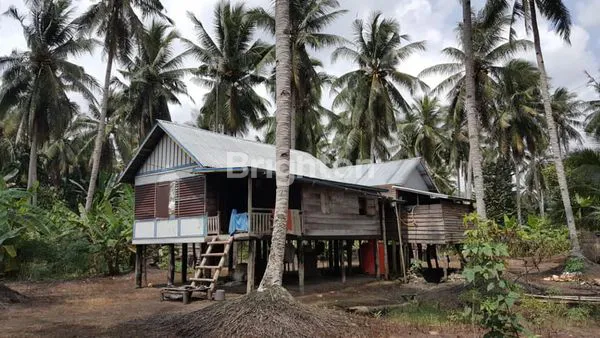 TANAH LUAS KAWASAN INDUSTRI PINGGIR JALAN  SUMBER MARGA TELANG SUMATERA SELATAN
