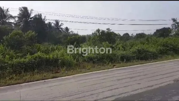 image TANAH LUAS KAWASAN INDUSTRI PINGGIR JALAN  SUMBER MARGA TELANG SUMATERA SELATAN (8)
