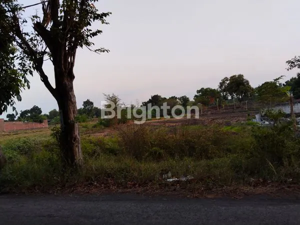 image TANAH SIAP DIMANFAATKAN  (1)