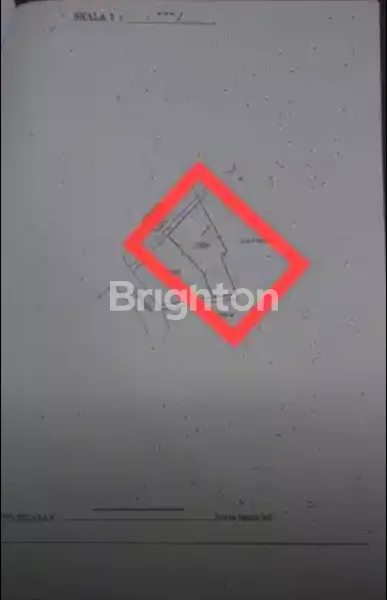 image JUAL RUKO 2 GANDENG STRATEGIS, TENGAH KOTA, JALAN PEMUDA, SEMARANG (6)