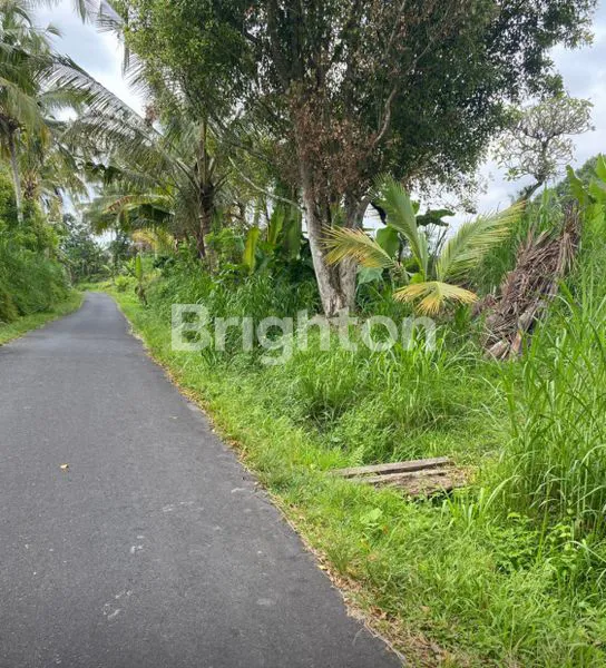 image TANAH KAV 3 ARE TABANAN VIEW SAWAH KEREN  (1)