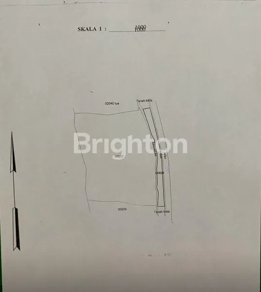 image TANAH KAV 3 ARE TABANAN VIEW SAWAH KEREN  (3)