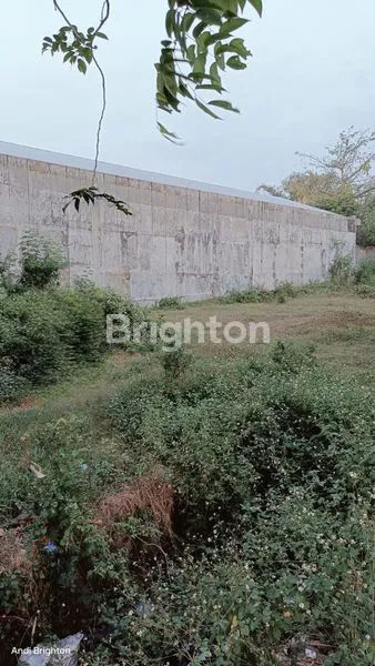 image TANAH PEKARANGAN LUAS SIAP BANGUN DI JALAN PROVINSI JOMBANG (2)