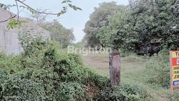 image TANAH PEKARANGAN LUAS SIAP BANGUN DI JALAN PROVINSI JOMBANG (5)