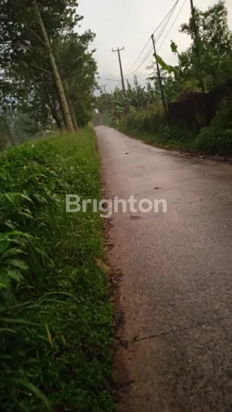 image DIJUAL CEPAT! TANAH STRATEGIS DI PUNCAK CISARUA, BOGOR (5)