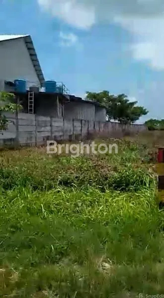 image TANAH KAVLING TUBAN KEC. WIDANG (1)