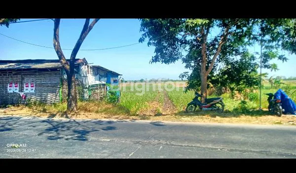 image DIJUAL TANAH INDUSTRI MOJOKERTO: (1)