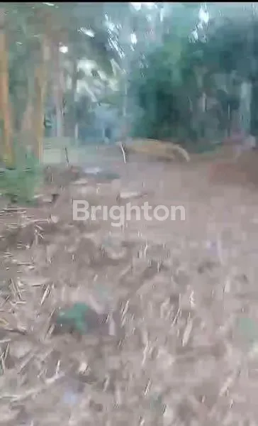 TANAH STRATEGIS PINGGIR JALAN RAYA COCOK BUAT USAHA DEKAT PANTAI KLAYER PACITAN