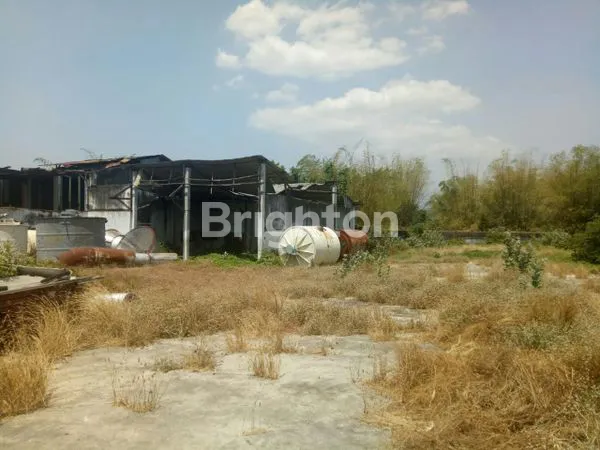 image GUDANG LUAS STRATEGIS 0 JALAN RAYA WONOREJO PASURUAN AKSES TRONTON-CONTAINER-TRUCK BESAR LAINNYA  (2)