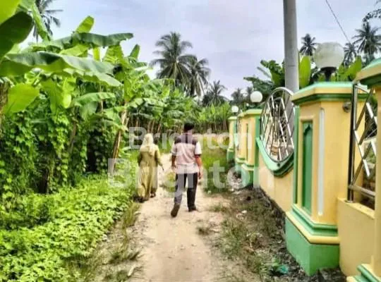 image  TANAH  HAMPARAN PERAK (4)