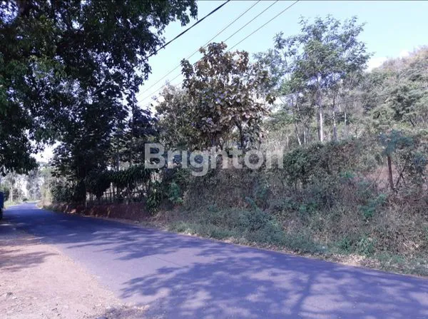 image CALLING INVESTOR 8HA KAVLING GUNUNG WUKIR (7)