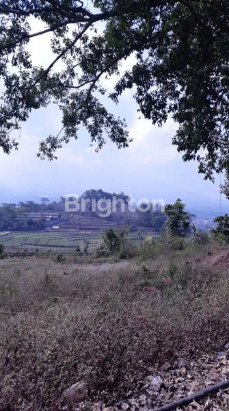 image CALLING INVESTOR 8HA KAVLING GUNUNG WUKIR (6)