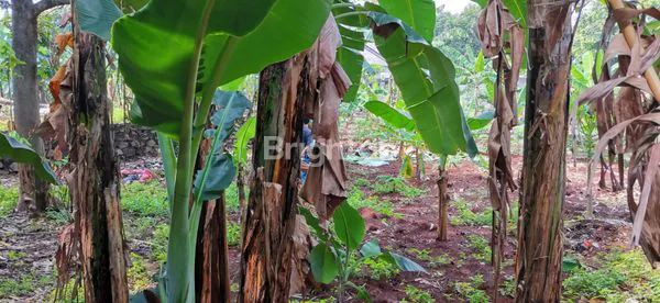 image DIJUAL TANAH STRATEGIS CIANGSANA (2)