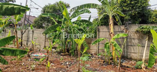 image DIJUAL TANAH STRATEGIS CIANGSANA (1)