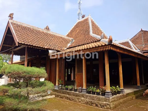 JOGLO UNIK | BISA DIPINDAHKAN DARI GUNUNG PATI