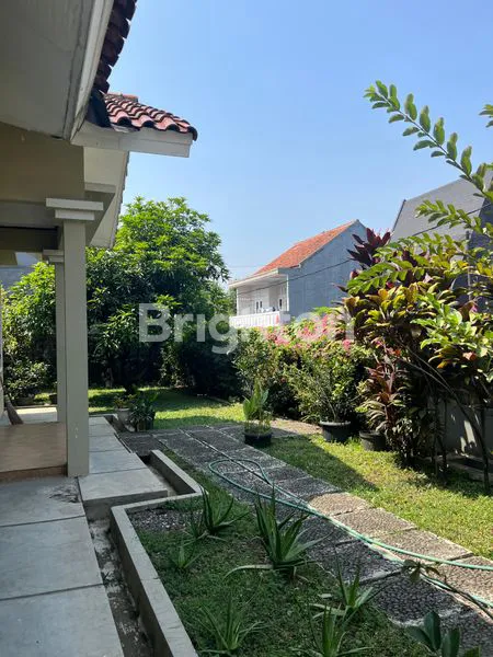 image JUAL CEPAT (2)