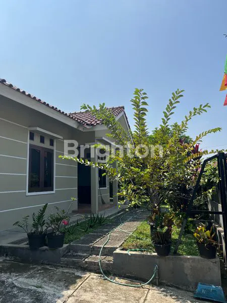 image JUAL CEPAT (3)