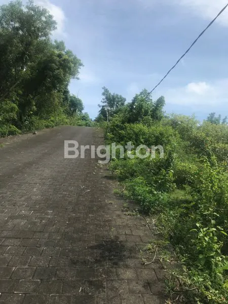 image TANAH PREMIUM JIMBARAN  (5)