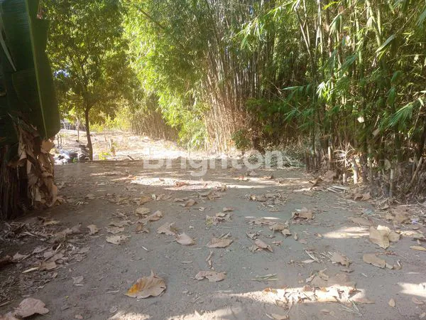 TANAH LUAS COCOK UNTUK DIBANGUN RUMAH MAUPUN PERUMAHAN DI PADOKAN