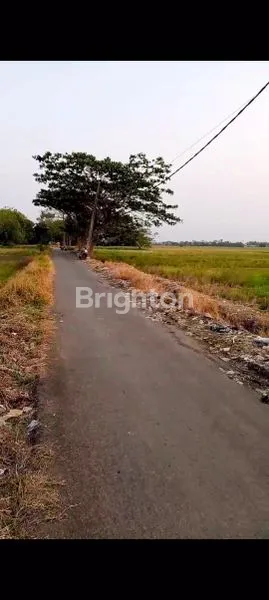 image TANAH DI BEKASI (2)