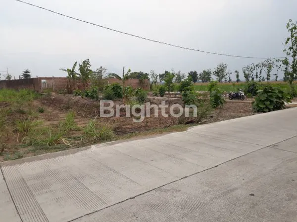 image TANAH RAYA PETERONGAN BANGSAL (1)